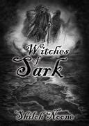 The covered witch book 2